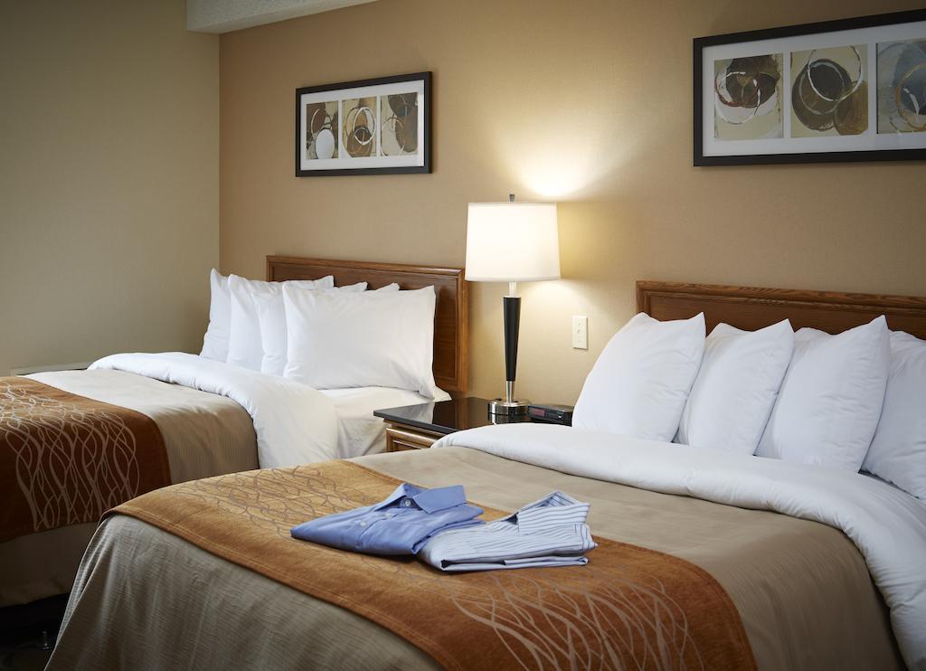 המילטון Comfort Inn מראה חיצוני תמונה