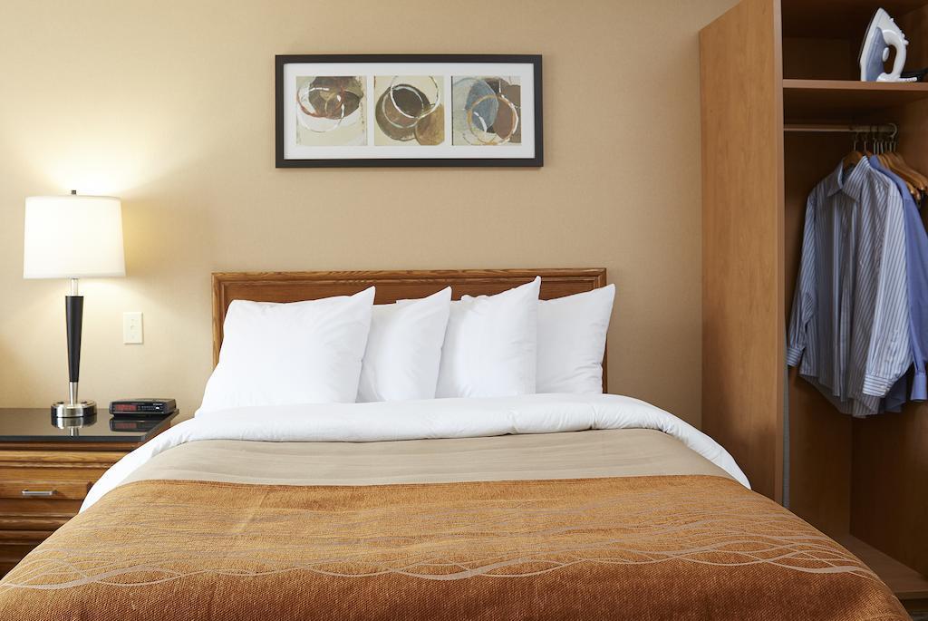 המילטון Comfort Inn מראה חיצוני תמונה