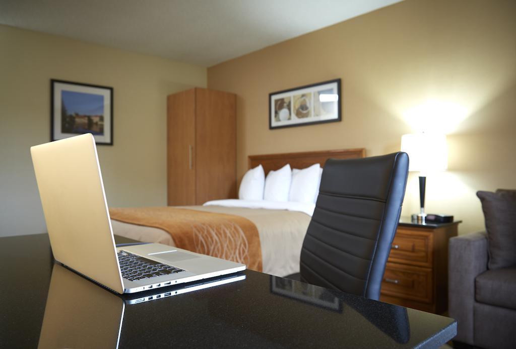 המילטון Comfort Inn מראה חיצוני תמונה