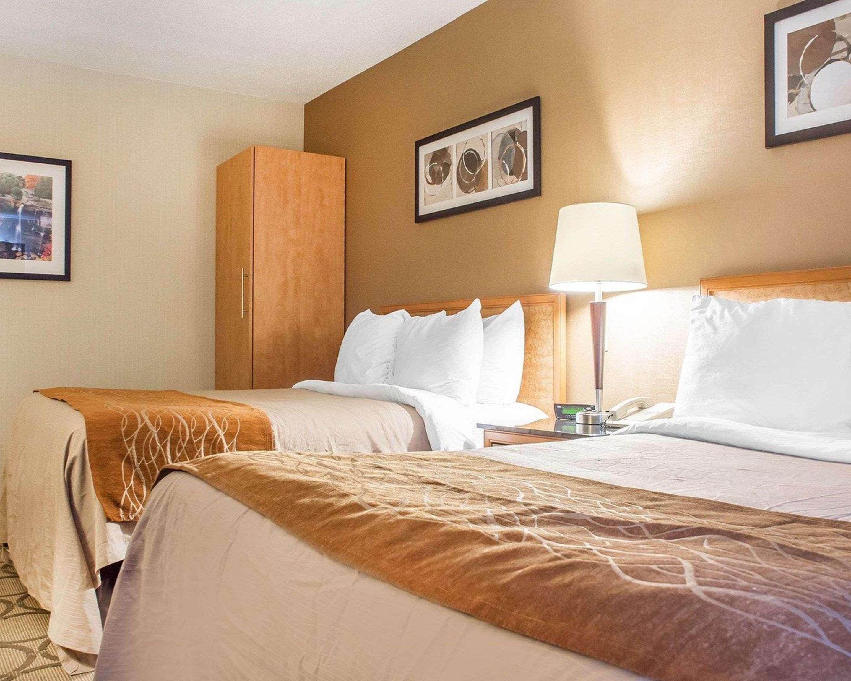המילטון Comfort Inn מראה חיצוני תמונה