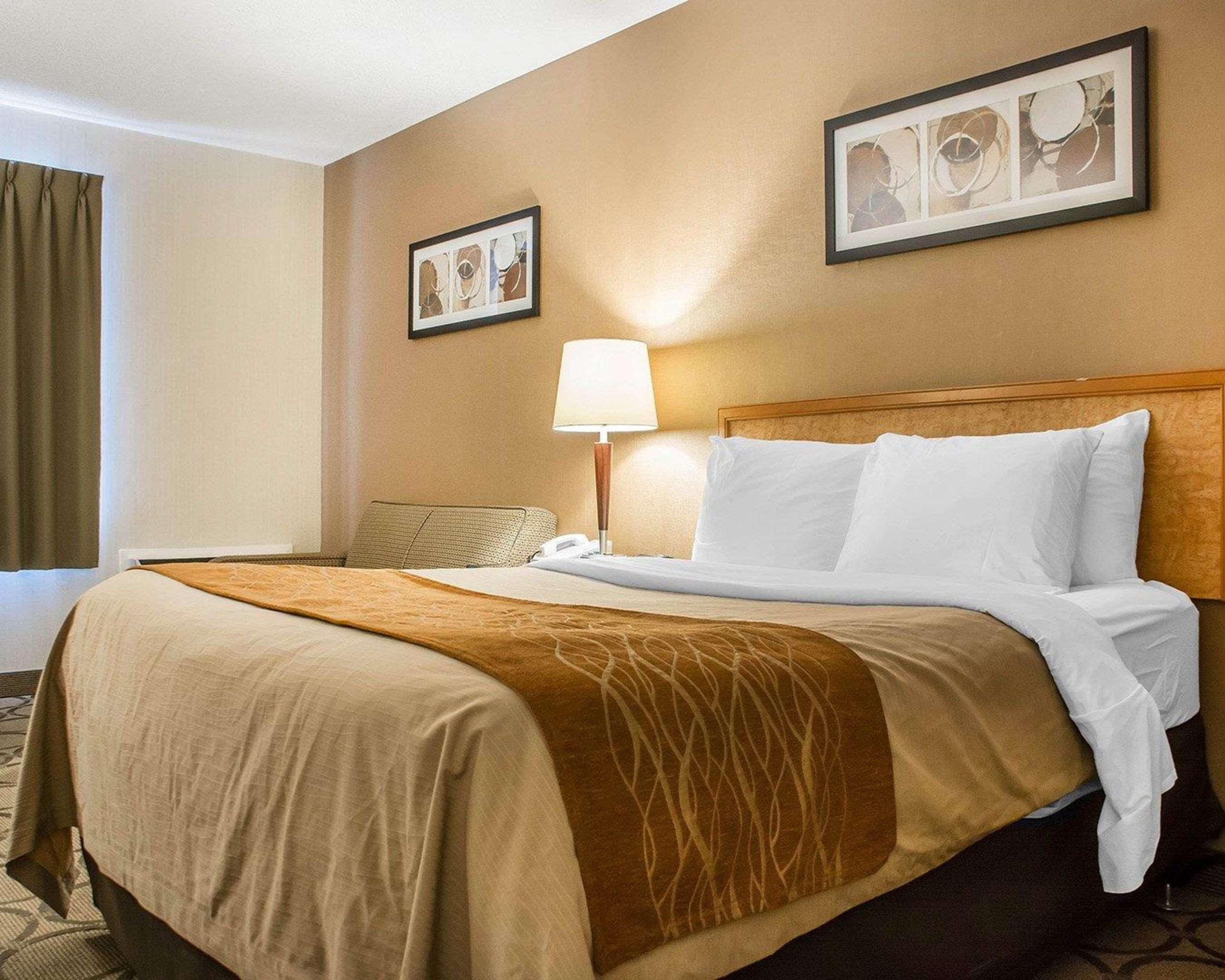 המילטון Comfort Inn מראה חיצוני תמונה