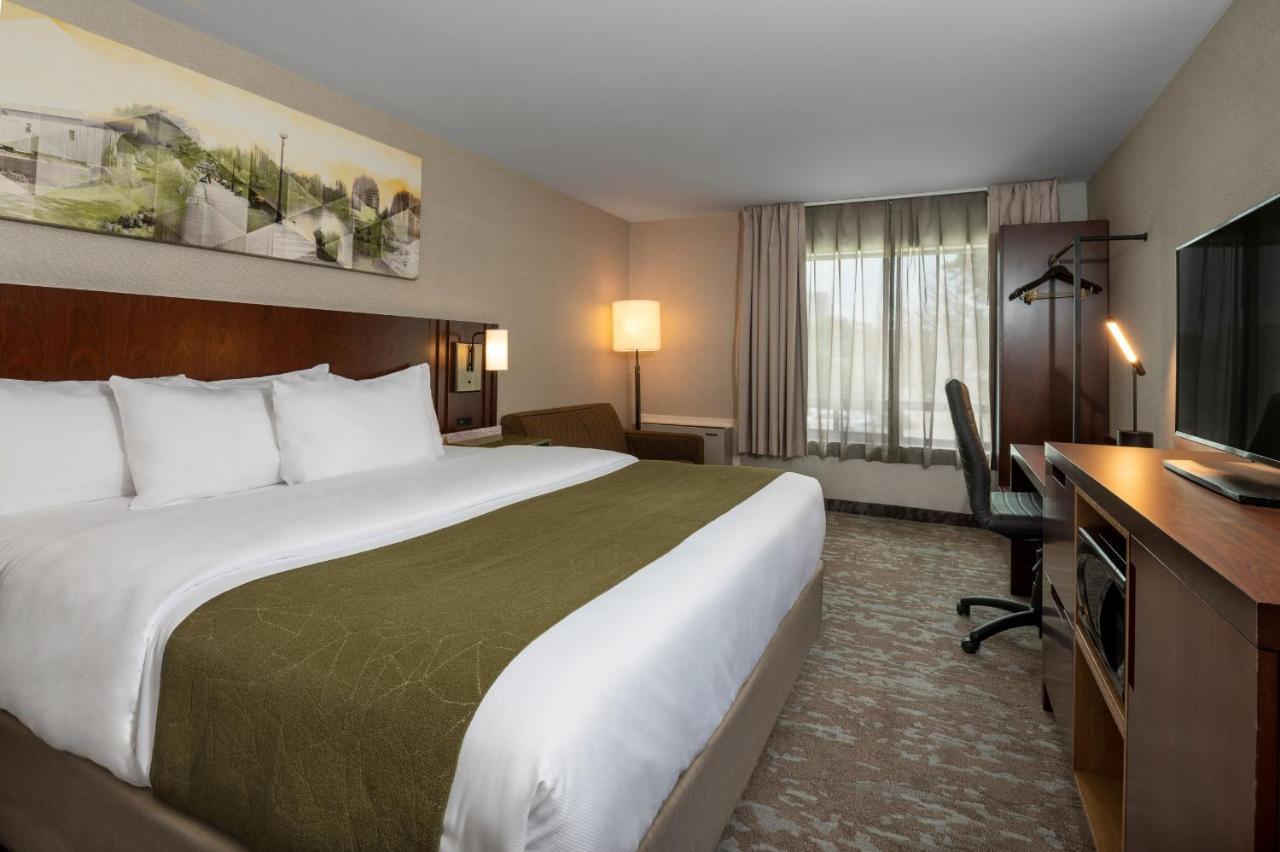 המילטון Comfort Inn מראה חיצוני תמונה