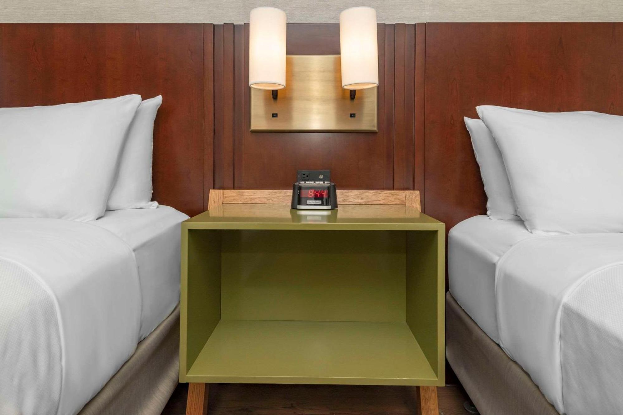 המילטון Comfort Inn מראה חיצוני תמונה